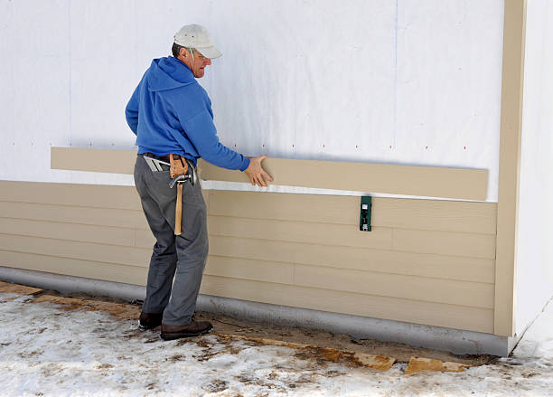 Best Fascia and Soffit Installation  in Pevely, MO
