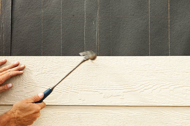 Best Insulated Siding Installation  in Pevely, MO